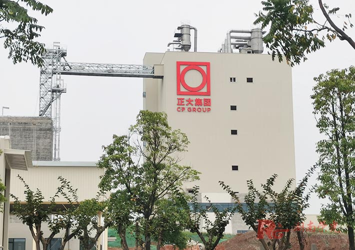 �L(zh��ng)ɳ��픰l(f��)���� ����LED�_���� ��¶���ֹ��S(ch��ng) ��\��_�װl(f��)����