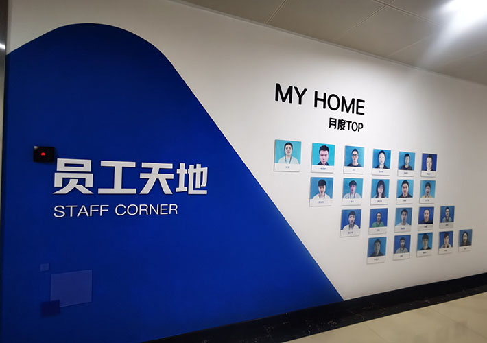 �Lɳ��˾�Ļ���